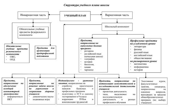 Структура учебного плана и образовательной программы. Структура учебной программы. Структурвучебного плана. Структура учебного плана основной школы. Структуру учебного плана определяет.